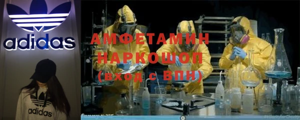 PSILOCYBIN Аркадак