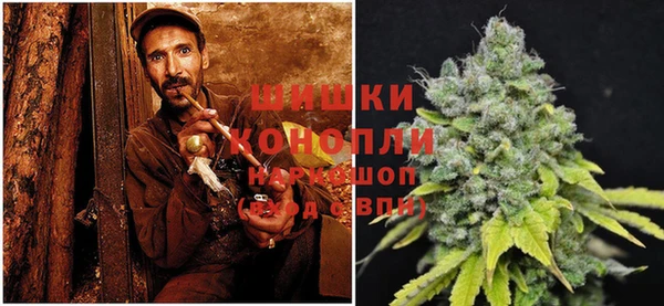 PSILOCYBIN Аркадак