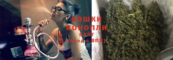 PSILOCYBIN Аркадак